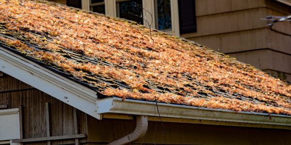 autumn-leaves-on-shingled-roof-with-rain-gutters-2025-01-08-14-24-44-utc